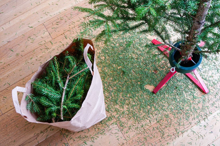 Scen med julgran i stativ, papperspåse med grangrenar och nedfallna barr på trägolv.