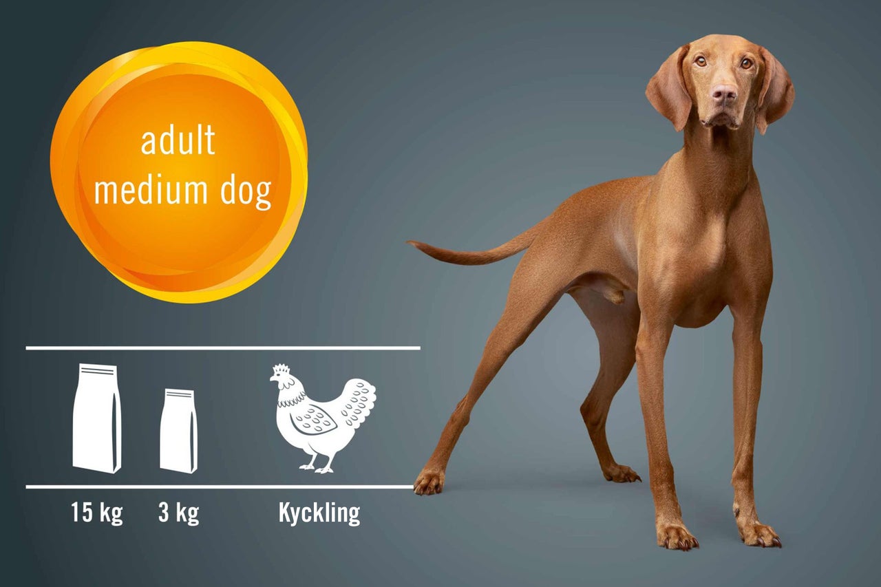 Hundfoder för medelstora, vuxna hundar med kyckling, finns i 3 kg och 15 kg säckar