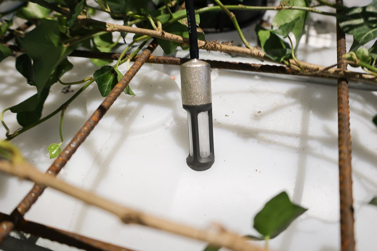 En jordfuktighetssensor hänger i en svart kabel över en vit behållare under ett metallgaller med murgröna.