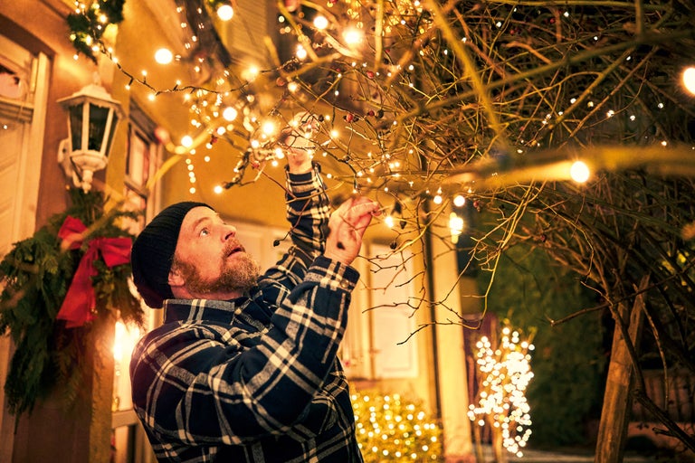 Man dekorerar träd med ljusslingor till jul i trädgården.