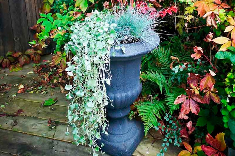 Dekorativ planteringskolonn med plantering i trädgården.