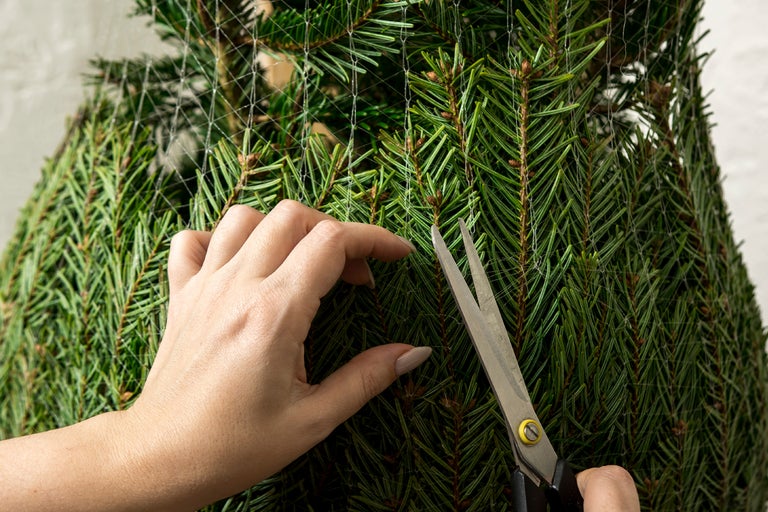Så sköter du julgranen – få den att hålla längre