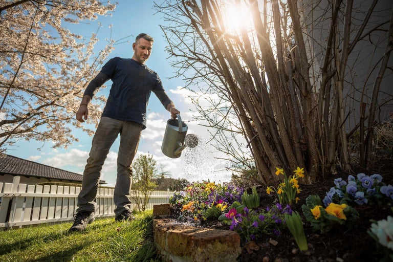 Trädgårdskalender: April