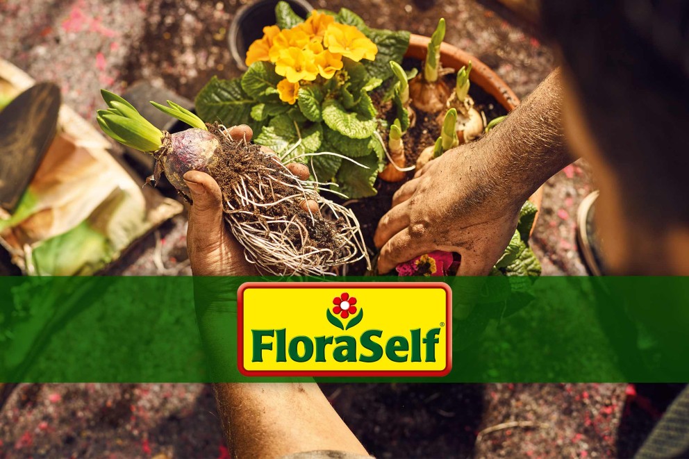 Varumärket FloraSelf Varumärket FloraSelf