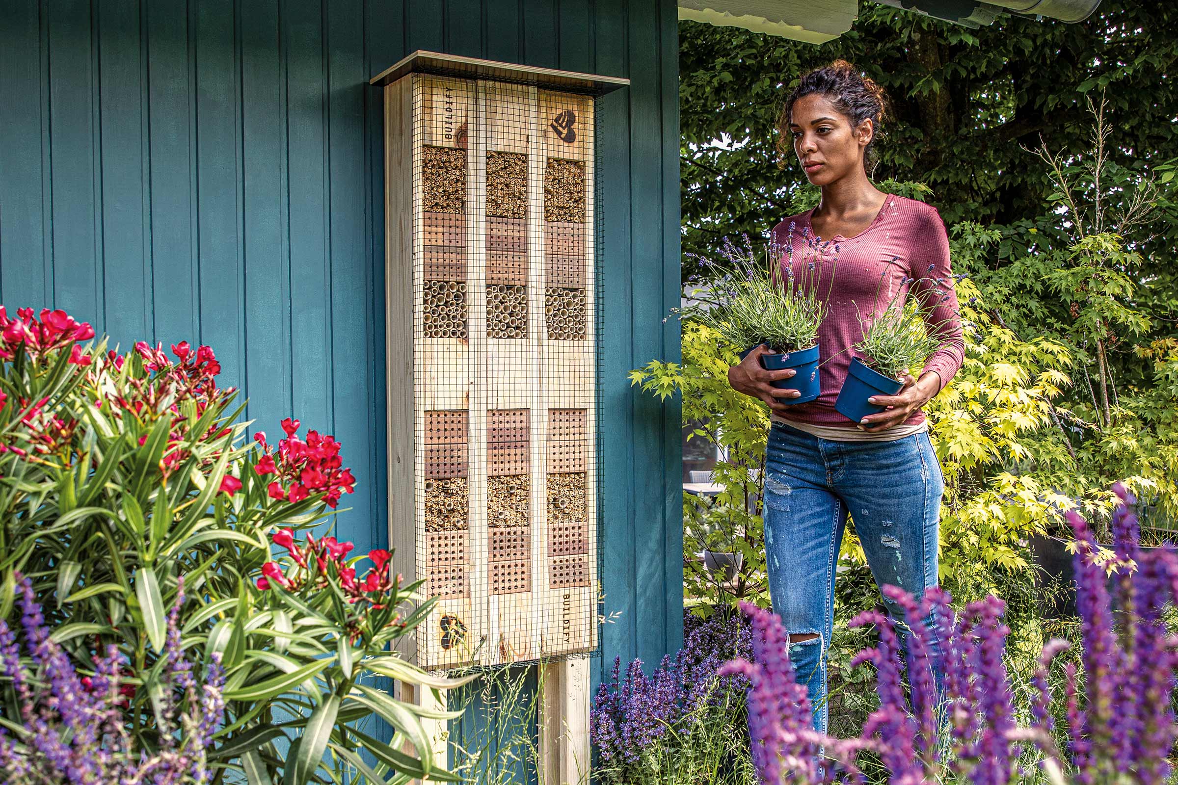 Fotografi av ett insektshotell på en blå trävägg med en kvinna som håller två lavendelplantor i krukor.