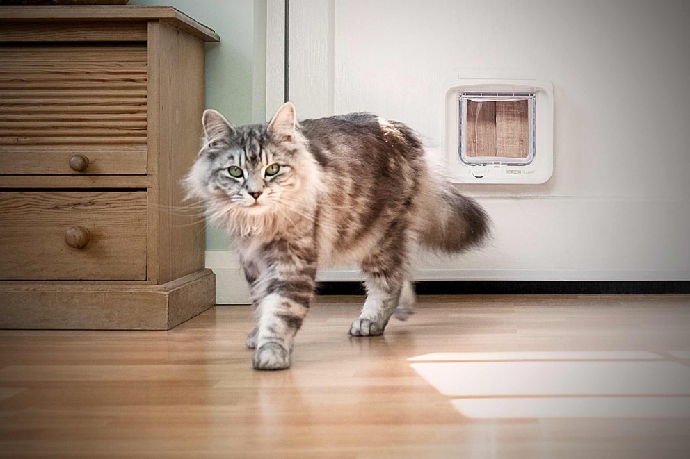 Kattluckor & kattdörrar Kattluckor & kattdörrar