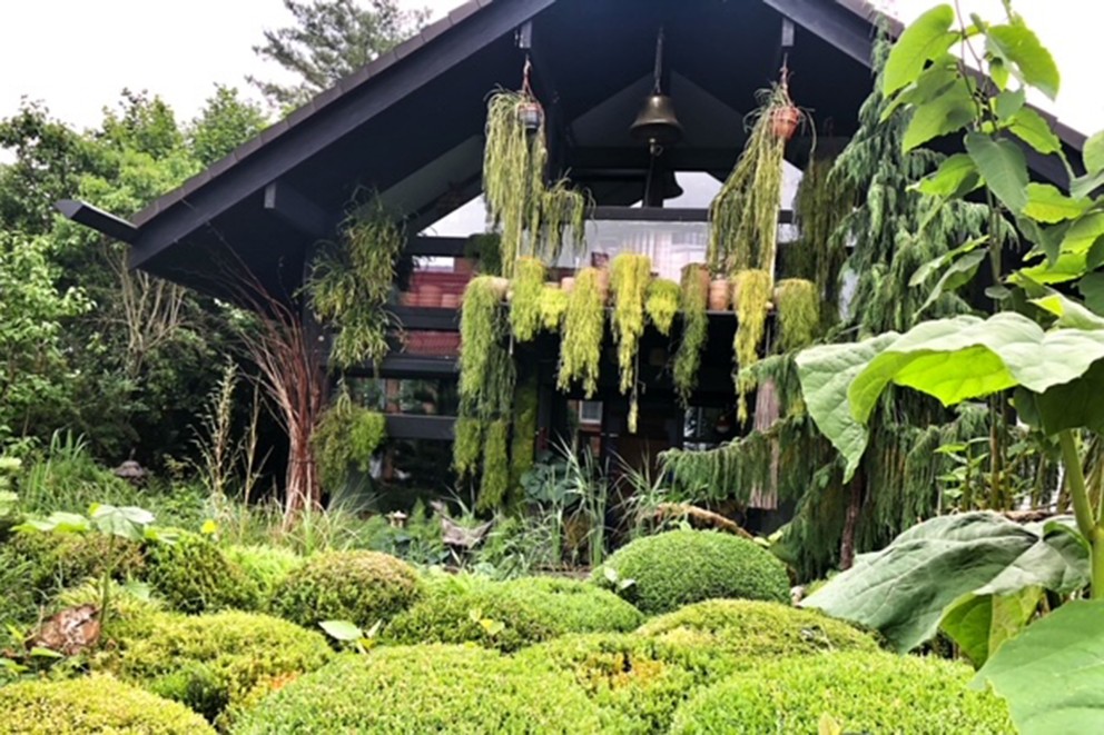 
				Makarna Franks hus står mitt i grönskan och är inglasat runtom så att trädgården också kan upplevas inifrån huset.

			