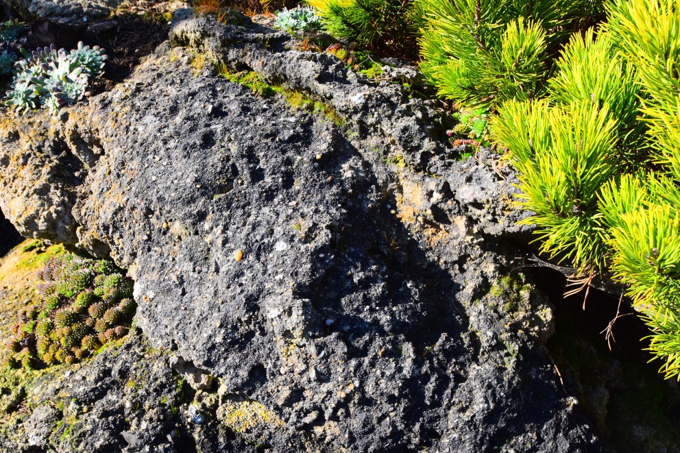 
				På betongen, precis som på riktig, sten bildas mossa efter några år.

			