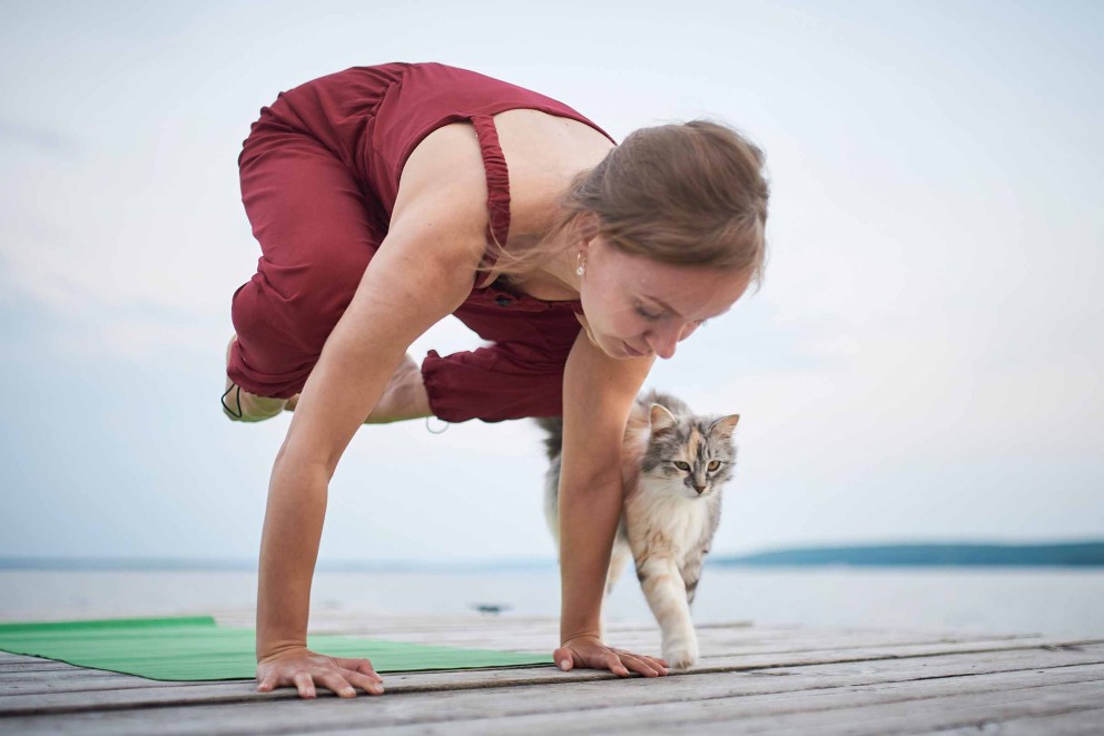 En kvinna gör yoga på en grön yogamatta med en katt på en brygga.