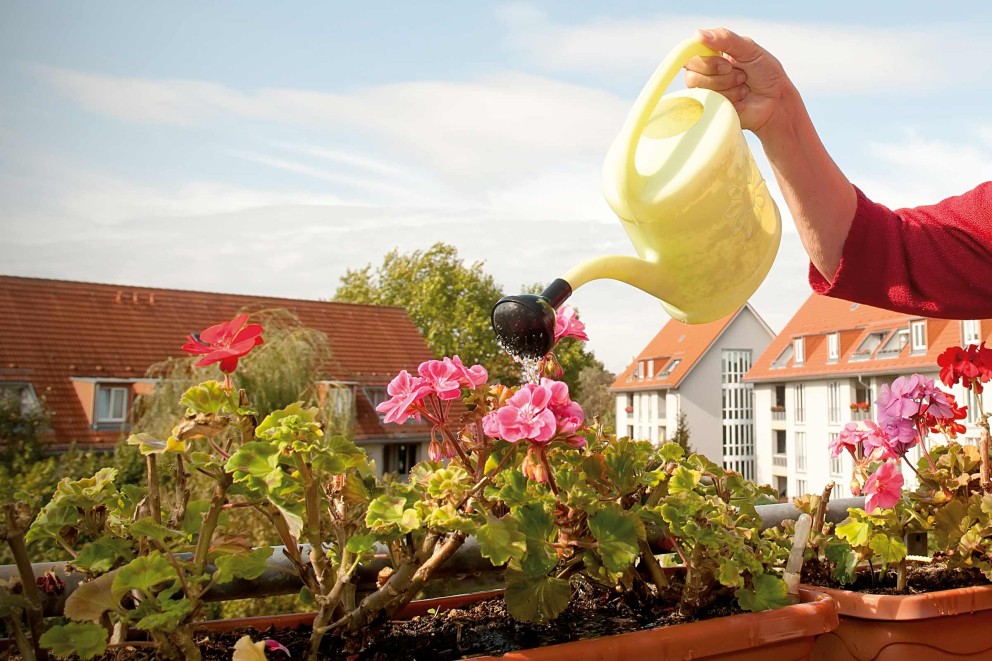 En person vattnar blommor i en blomlåda med en vattenkanna på en balkong