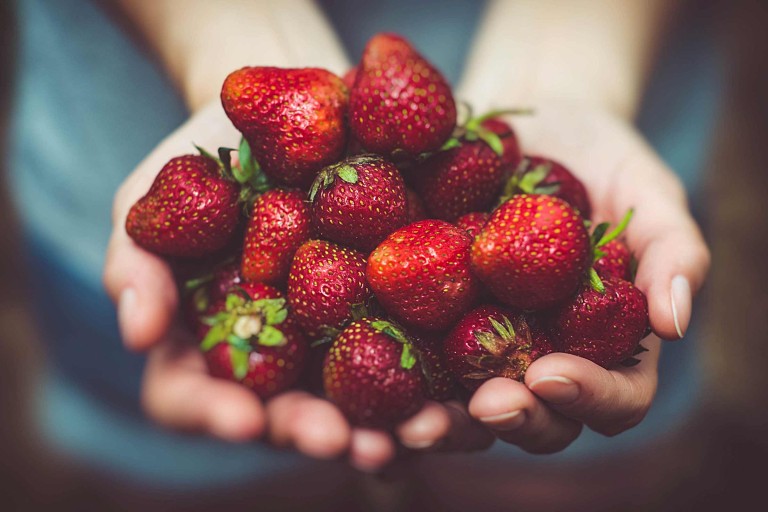 Plantera jordgubbar – tips & råd