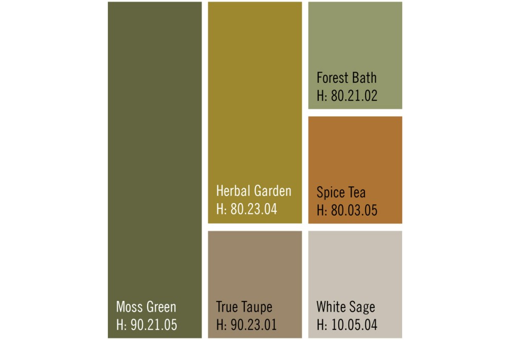 Färgprover med nyanserna Mossgrön, Örtagård, Äkta Taupe, Skogsbad, Kryddte och Vit Salvia