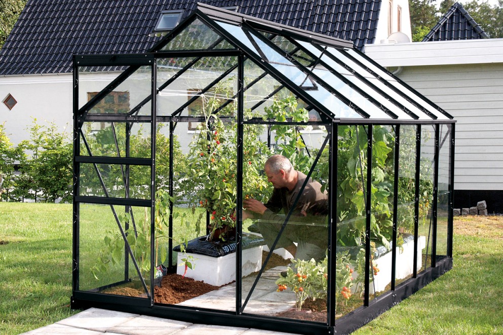 Växthus i glas Växthus i glas