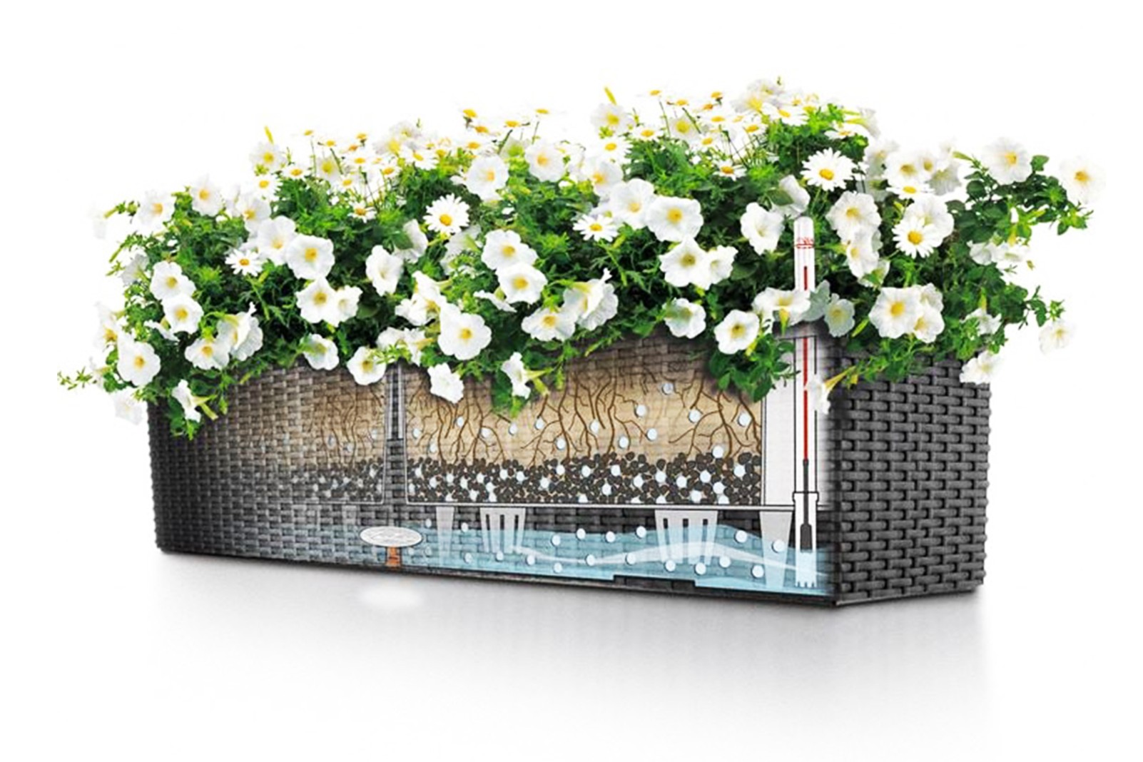 sj-lvvattnande-bloml-dor-k-p-p-hornbach-se