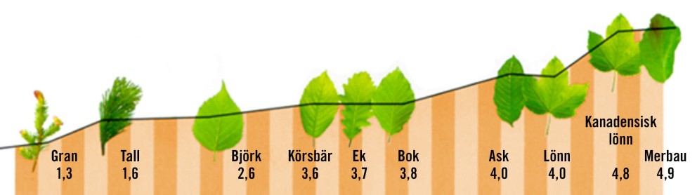 Trähårdhet brinellvärden Trähårdhet brinellvärden