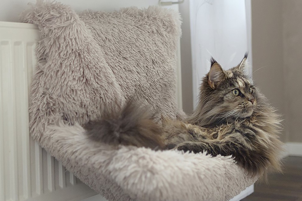 Kattbädd & kattsäng Kattbädd & kattsäng