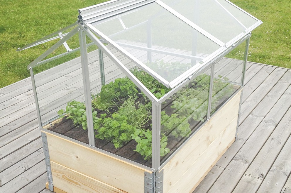 Mini växthus med träram och transparenta glaspaneler, delvis öppet, planterat med olika örter