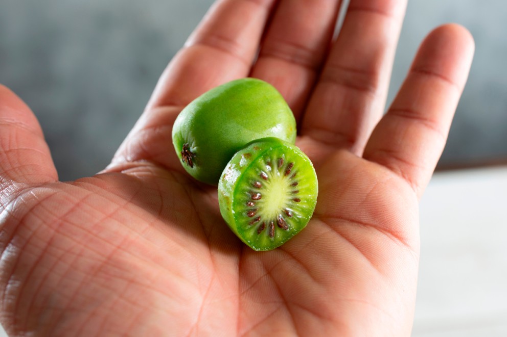 Minikiwi Minikiwi