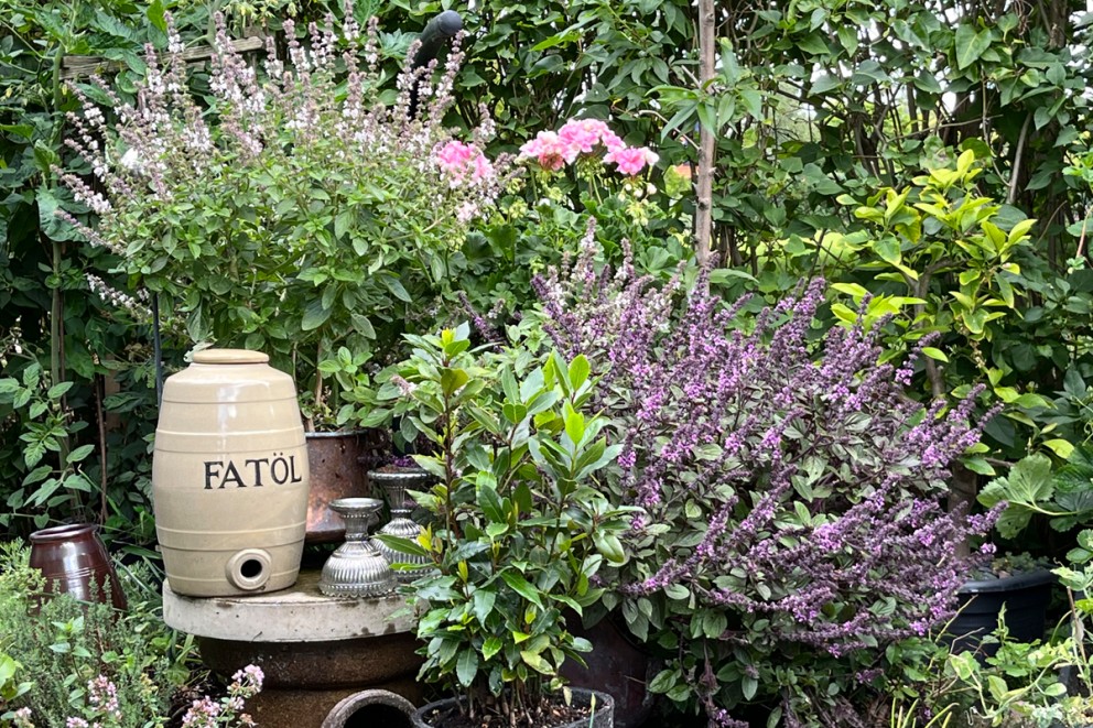Trädgårdsscen med örter, blommor och en Fatöl tunna som dekoration