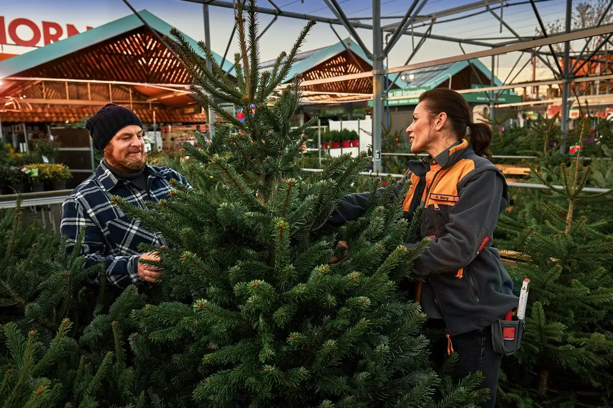 Julgran
Julgran