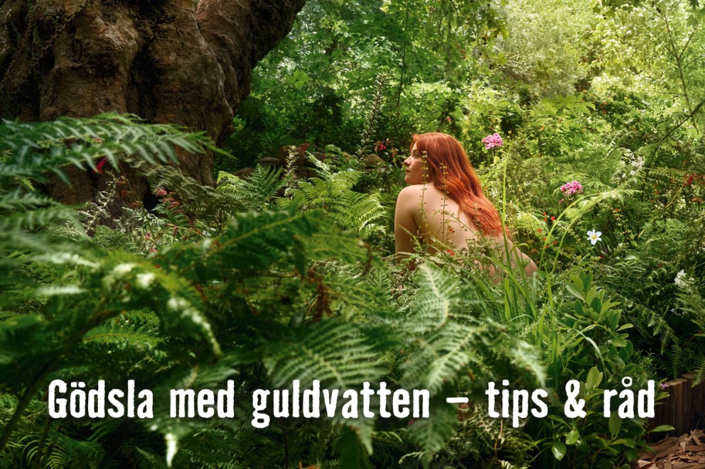 Gödsla med guldvatten