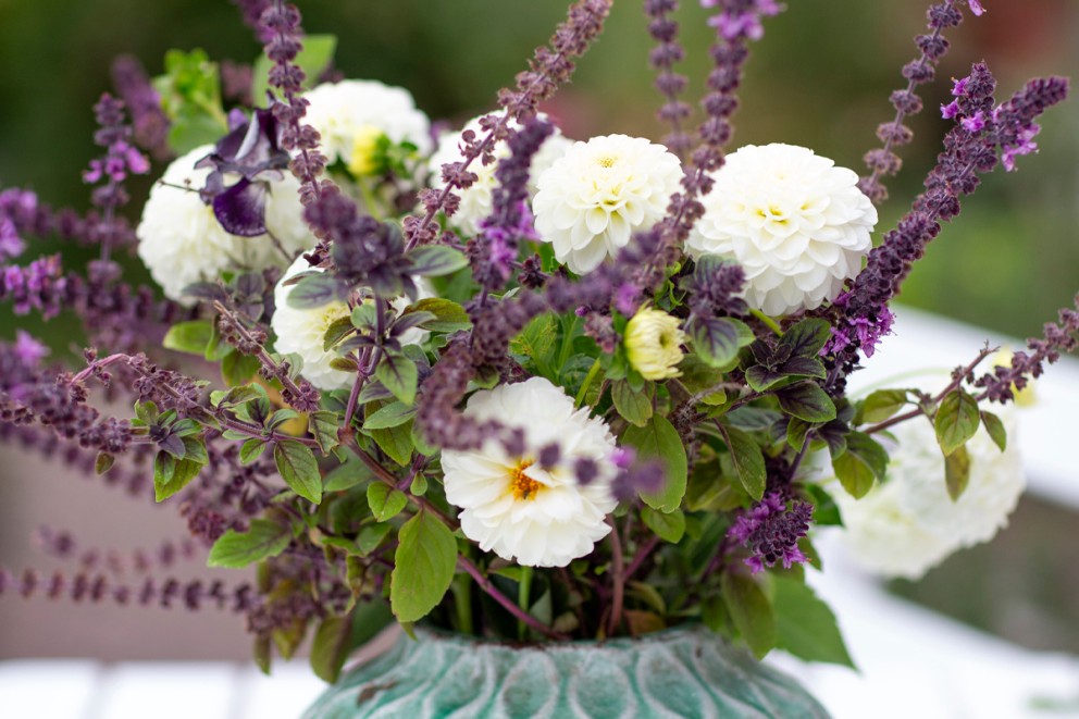 Blomsterarrangemang med vita dahlior och lila basilika i en vas