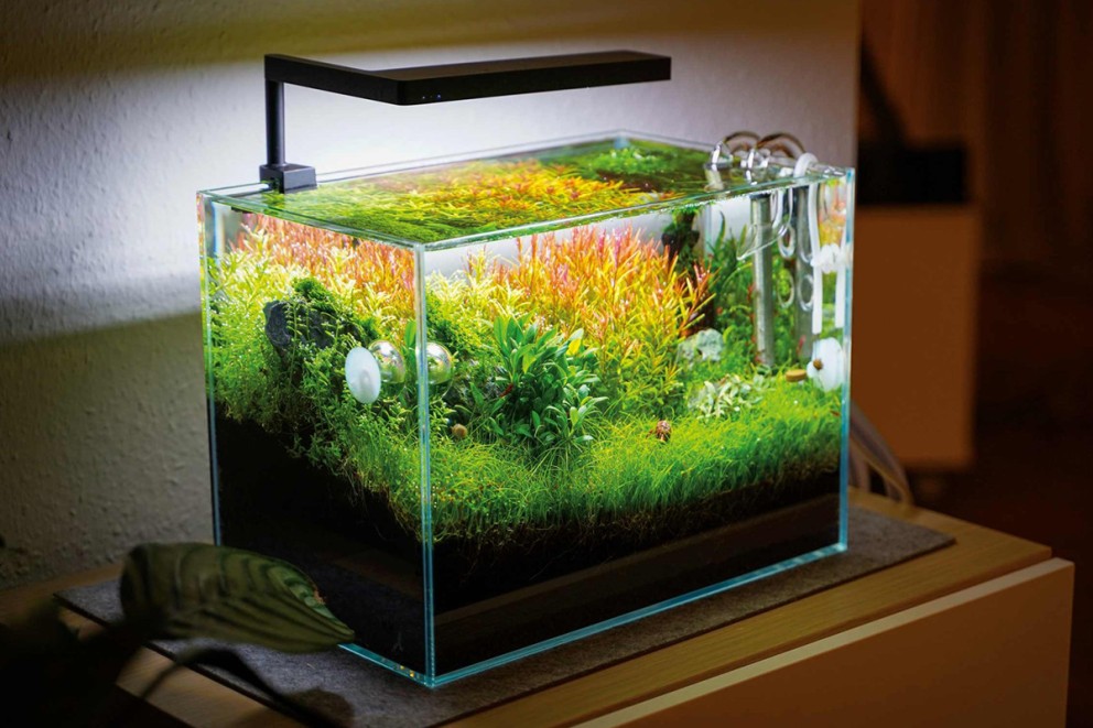 Akvariepump & akvariefilter Akvariepump & akvariefilter