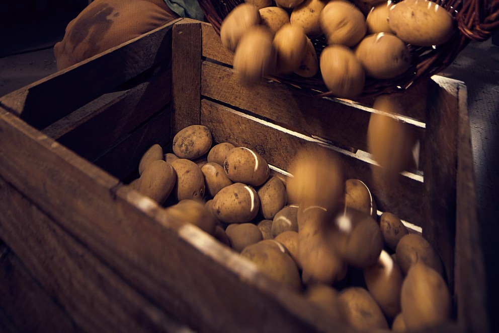 Förvara potatis Förvara potatis