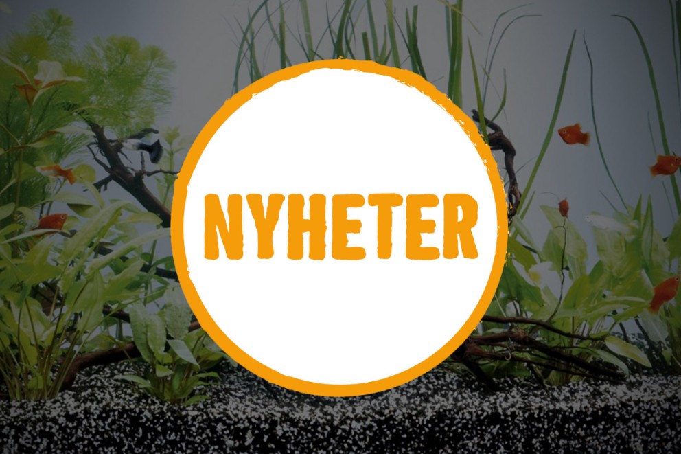 
				Nyheter Zoo & akvaristik

			