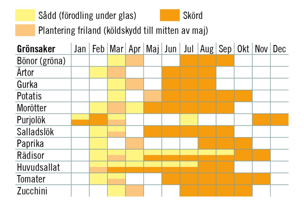 Planteringskalender grönsaker Planteringskalender grönsaker