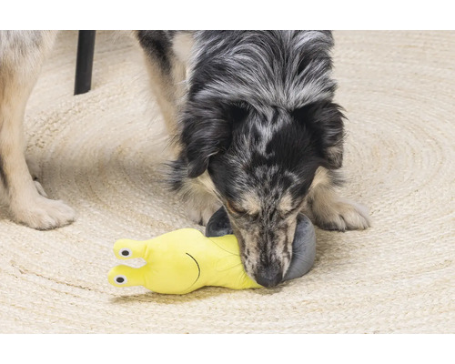 En hund leker med en gul snigelformad hundleksak på en matta.