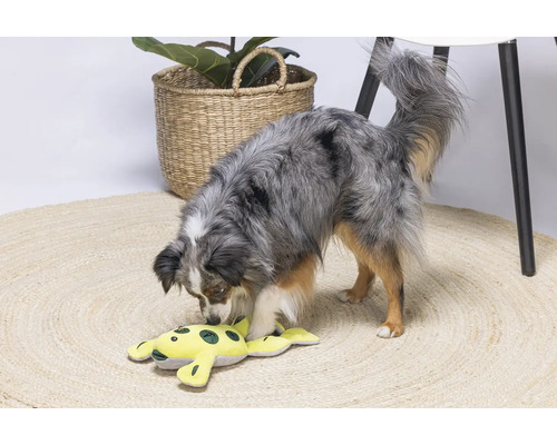 En hund leker med en gul tyggrod på en rund matta.