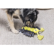 Hund utforskar interaktiv matleksak med larvdesign på en sniffmatta