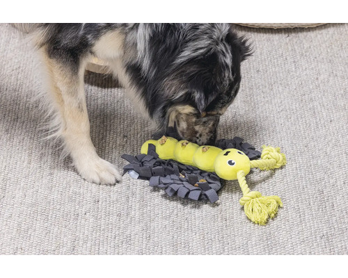 Hund utforskar interaktiv matleksak med larvdesign på en sniffmatta