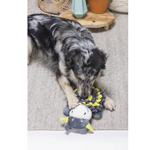 En hund leker med en leksak på en matta.