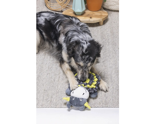 En hund leker med en leksak på en matta.