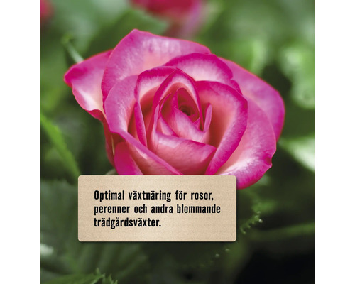 Närbild av en ros med en skylt som främjar näringsämnen för rosor, perenner och andra blommande trädgårdsväxter.
