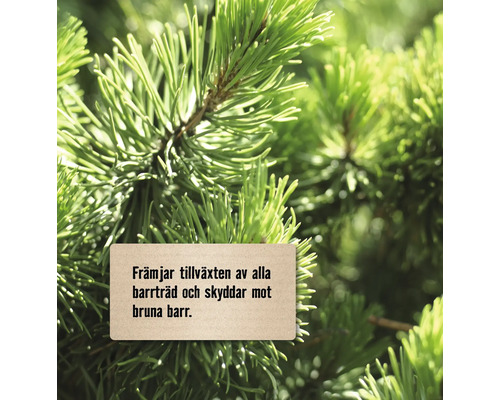 Närbild av barrträdsskott med en skylt som främjar tillväxt och skyddar mot bruna barr.