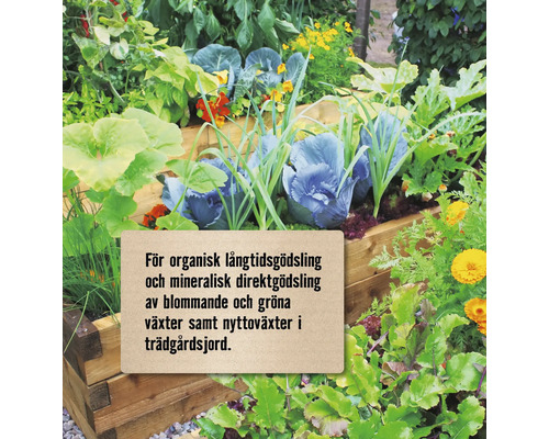 Hög rabatt med olika växter som kål och sallad för trädgården