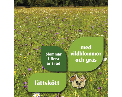 Blomsteräng med olika vilda blommor och gräs, som är lättskött och blommar i flera år.