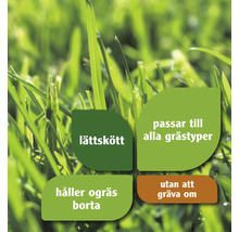 Symbolbild med gräsegenskaper: lättskött, passar till alla grästyper, håller ogräs borta, utan att gräva om