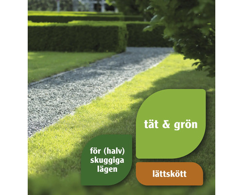 Trädgårdslandskap med gräsmatta och grusgång