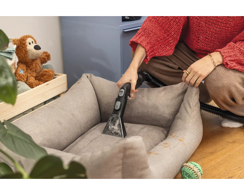 En person rengör en hundsäng med en mattrengörare.