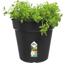 Blomkruka ELHO Green Basics Ø24x22cm svart