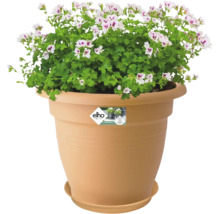 Blomkruka med pelargoner och Elho-logotyp