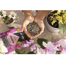 Växtsubstrat LECHUZA Orchidpon 6L