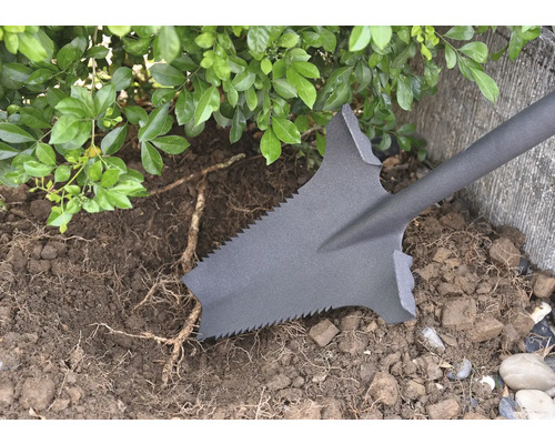 Spat används för att gräva upp jord och rötter i trädgården