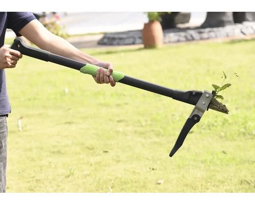 Person som använder ett ogräsjärn för att ta bort ogräs i trädgården.