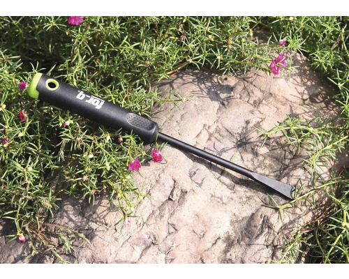 For_q ogräsjärn på en sten med växter