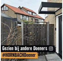 Entré med trästaket och tak